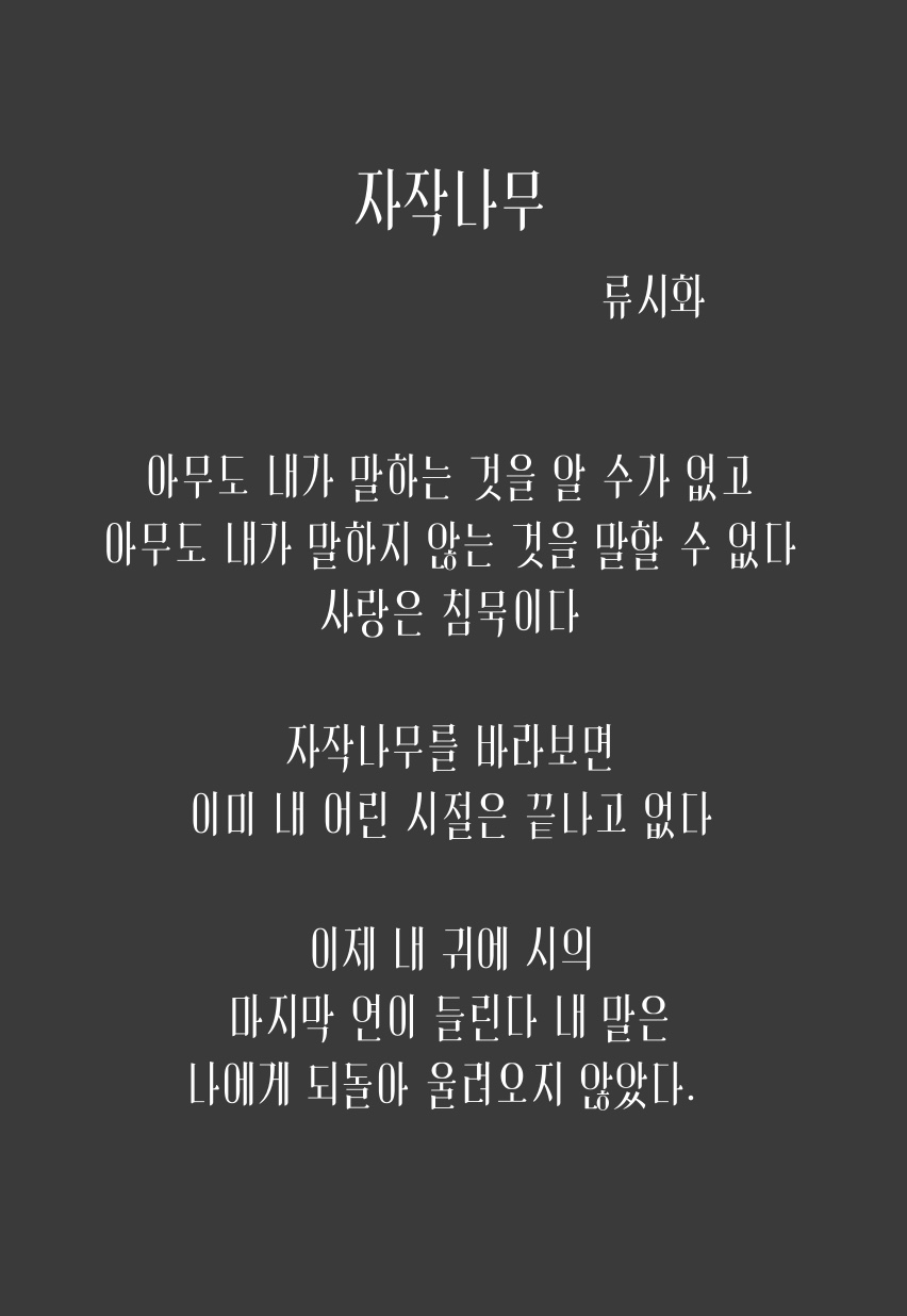 시 조판 — 류시화 「자작나무」