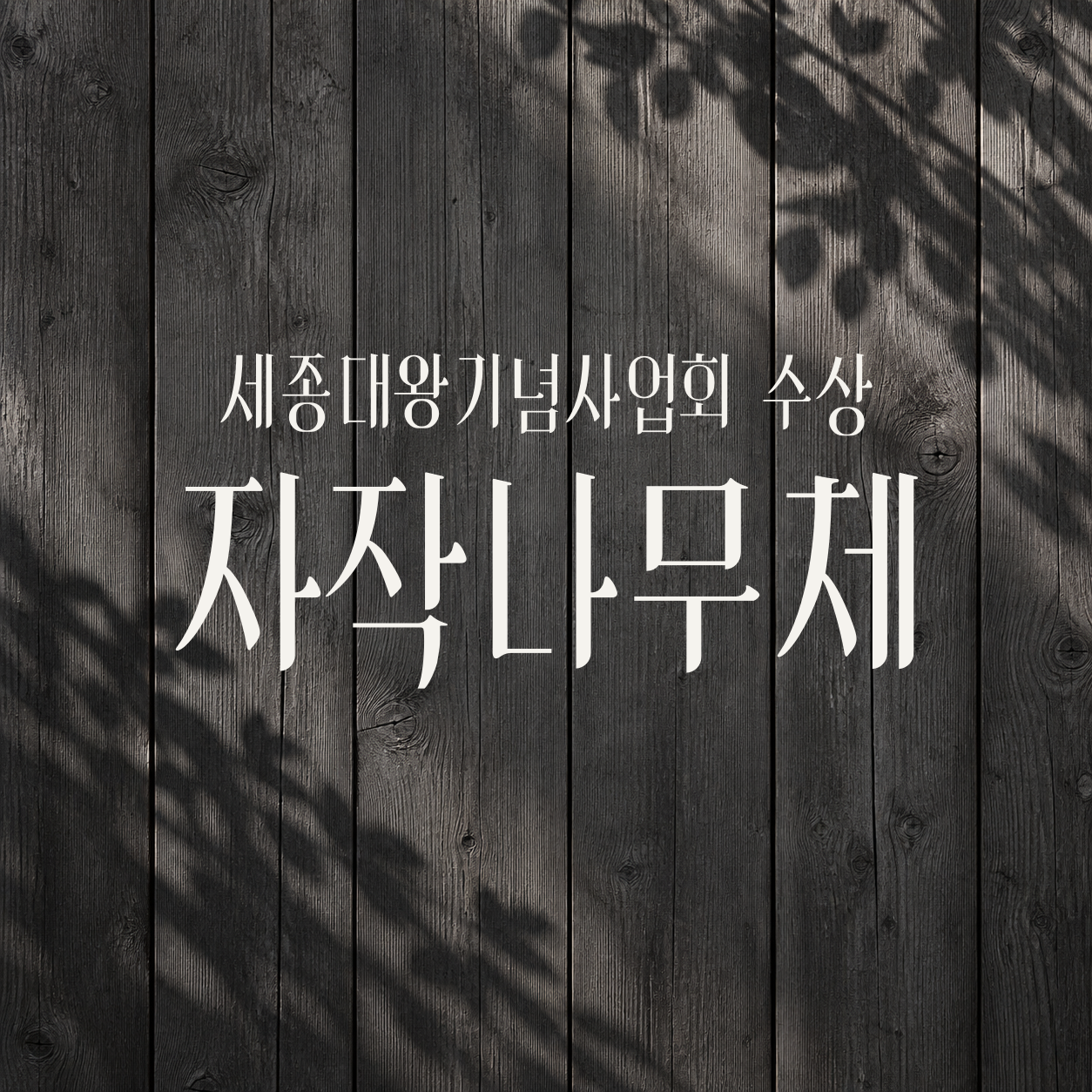 자작나무체 Jajaknamu — University